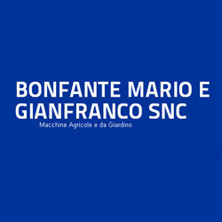 Logo di BONFANTE MARIO E GIANFRANCO