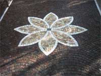Logo di EDILPORFIDO