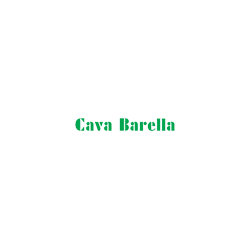 Logo di INERTI BARELLA