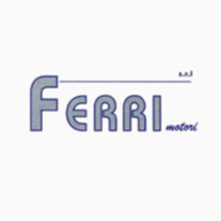 Logo di FERRI MOTORI