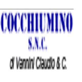Logo di COCCHIUMINO