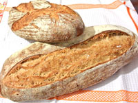 Logo di CRISPINO BITTO