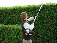 Logo di DGARDEN