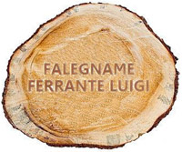 Logo di LUIGI FERRANTE