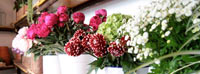 Logo di URBAN FLOWER