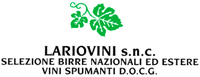 Logo di LARIOVINI