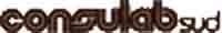 Logo di CONSULAB SUD srl