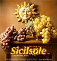 Logo di SICILSOLE