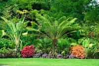 Logo di GIARDINO DESIGN