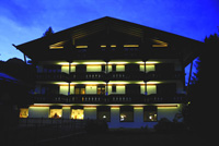 Logo di HOTEL PALU'