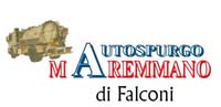 Logo di AUTOSPURGO MAREMMANO