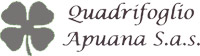 Logo di QUADRIFOGLIO APUANA
