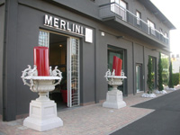 Logo di MERLINI snc