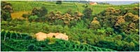 Logo di AGRIMARCA sas