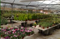 Logo di VIVIAIO HAPPY GARDEN