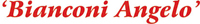 Logo di BIANCONI ANGELO