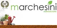 Logo di MARCHESINI srl