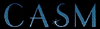 COOPERATIVA CASM SERVIZI INPS GESTIONE EX ENPALS ON-LINE A MUSICISTI E ARTISTI
