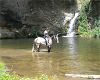 Logo di ASSOCIAZIONE SPORTIVA DILETTANTISTICA RANCH FERRETTI