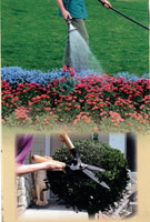 Logo di NIBIGARDEN