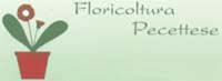 Logo di FLORICOLTURA PECETTESE