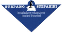 Logo di STEFANO STEFANINI