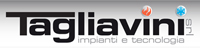 Logo di TAGLIAVINI srl