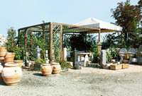 Logo di SINFLORA