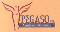 Logo di PEGASO srl