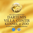 Logo di DARTEMIS VILLA CONTIS