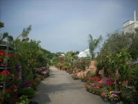 Logo di ELIS GARDEN VIVAIO