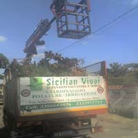 Logo di SICILIAN VIVAI