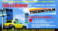 Logo di NUOVA THERMOFILM - SISTEMI ADESIVI PER LA PROTEZIONE SOLARE E L'ARCHITETTURA