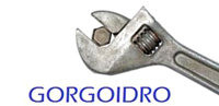 Logo di GORGOIDRO