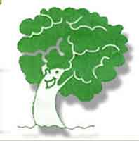 Logo di CENI