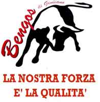 Logo di BENGOS TRASLOCHI TRASPORTI & FACCHINAGGIO