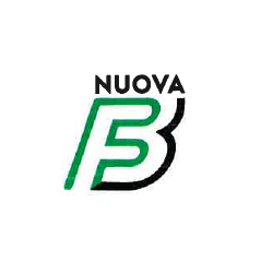 Logo di NUOVA FINISTAURI E BIANCHI