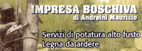 Logo di IMPRESA BOSCHIVA ANDREINI