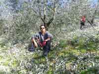 Logo di GARDEN OF LOVE