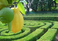 Logo di PROGETTO GIARDINO