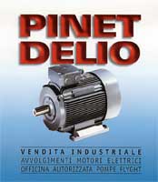 Logo di PINET DELIO - AVVOLGIMENTI MOTORI ELETTRICI
