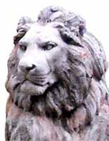 Logo di PAOLELLI GARDEN SRL