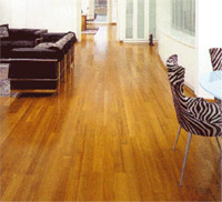 Logo di GF PARQUET