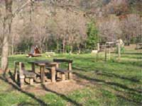 Logo di P.M. AMBIENTE GIARDINAGGIO