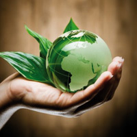 Logo di FUTURE GREEN srl