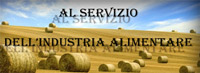Logo di I.M.I.