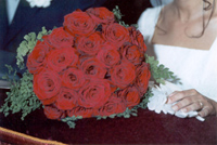 Logo di ANDREONI FLOR