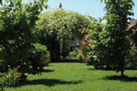 Logo di TECKNO-GARDEN