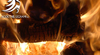 Logo di AGOSTINIS LEGNAMI srl