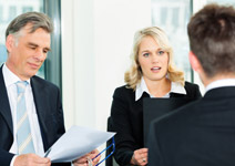 Professional workers - services and consultancies